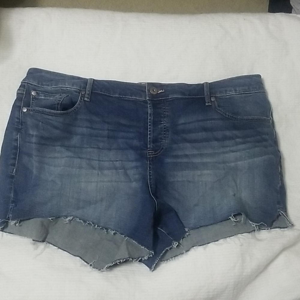 Torrid 3.5 in shorts
